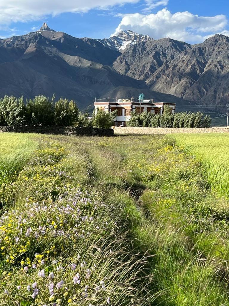 Guru View Home Stay Padam Luaran gambar
